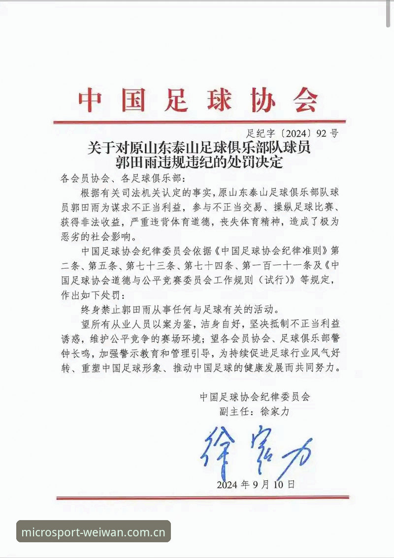 透析足协第三批禁足令：从名单看中国足球反腐的实用分析