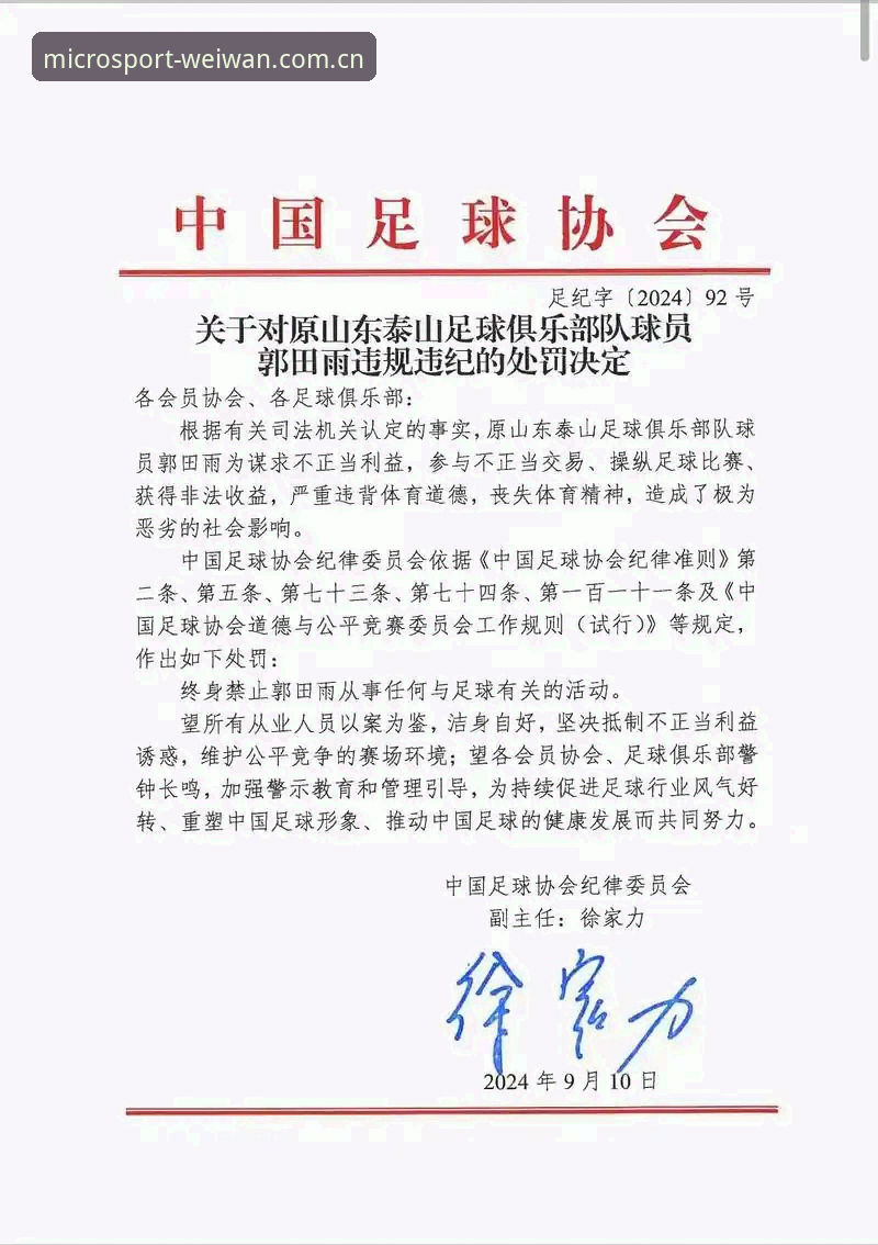 中国足协第三批禁足名单全解析：65人受罚，17人终身禁足